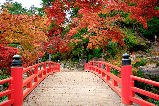 Autumn in Momiji-dani Park