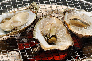 宫岛牡蛎